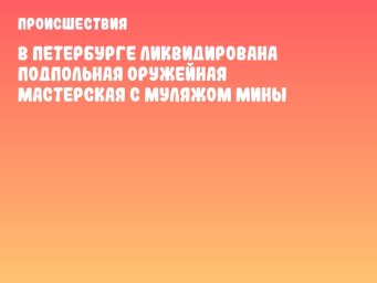 В Петербурге ликвидирована подпольная оружейная мастерская с муляжом мины