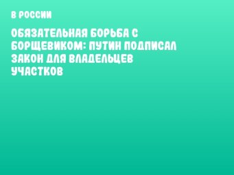 Обязательная борьба с борщевиком: Путин подписал закон для владельцев участков