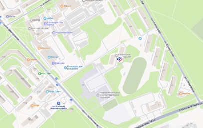 Социальный фонд России Новомичуринск Рязанская область