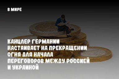 Канцлер Германии настаивает на прекращении огня для начала переговоров между Россией и Украиной