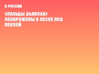 «Пальцы дьявола» обнаружены в лесах под Пензой