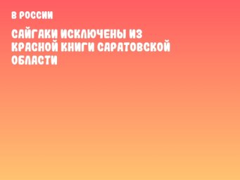Сайгаки исключены из Красной книги Саратовской области