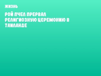 Рой пчел прервал религиозную церемонию в Таиланде