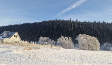 Социальный фонд России Суксун Пермский край