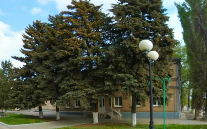 Социальный фонд России Кашары Ростовская область