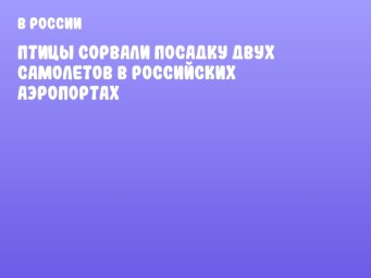 Птицы сорвали посадку двух самолетов в российских аэропортах