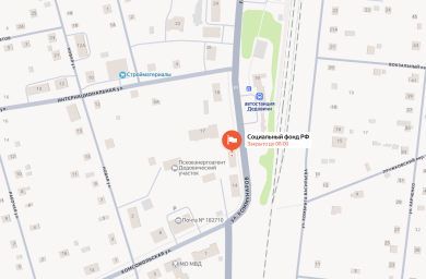 Социальный фонд России Дедовичи Псковская область