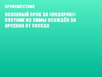 Условный срок за «подарок»: охотник из Зимы осуждён за арсенал от соседа