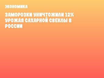 Заморозки уничтожили 12% урожая сахарной свеклы в России