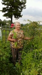Светлана Ильинична Светлана Ильинична