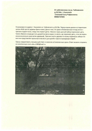 Алсу Рафаиловна